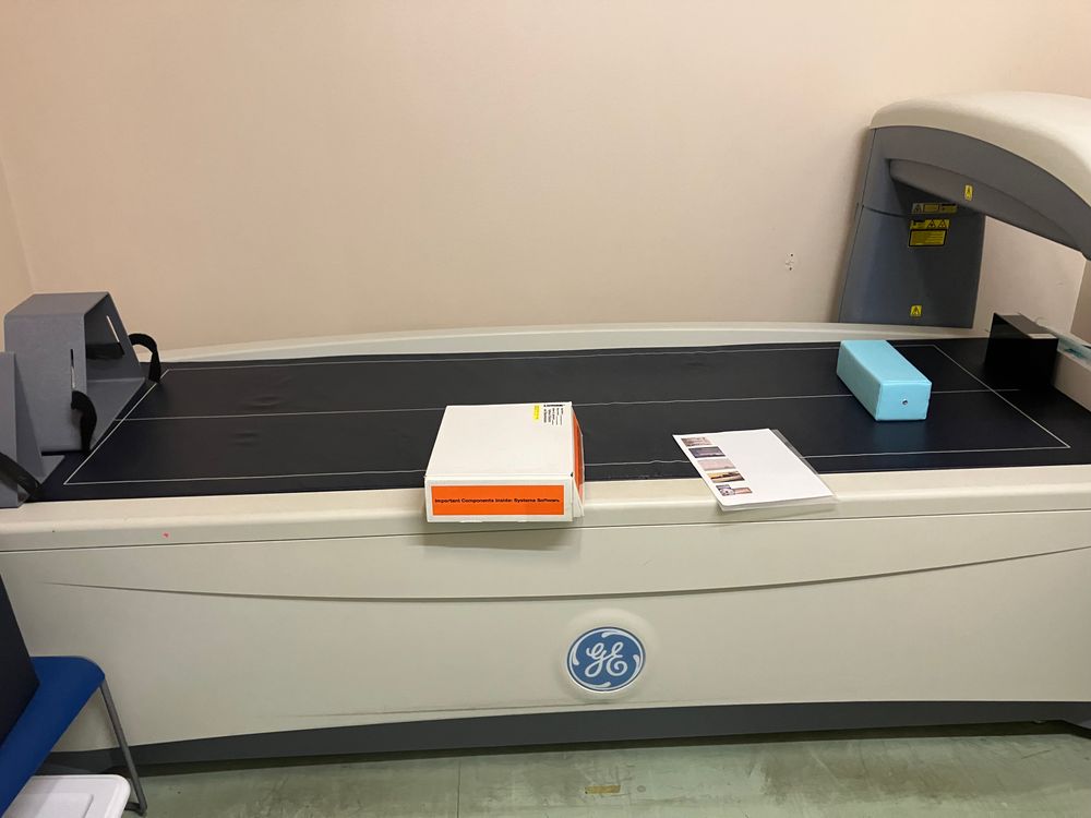 2013 GE Lunar Prodigy Dexa [EQ-032826]